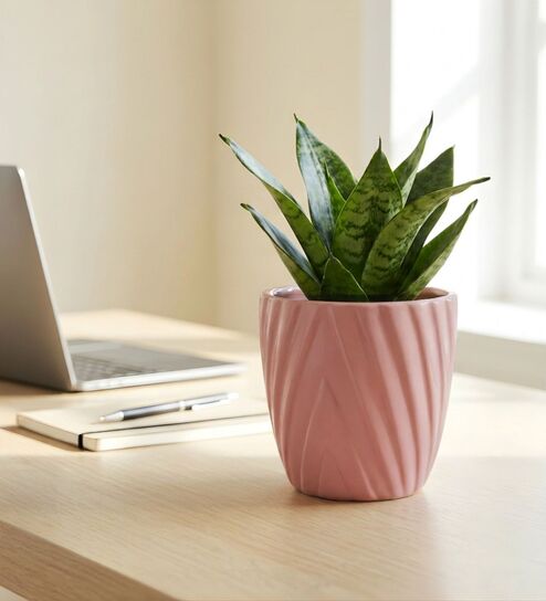 Pink Ceramic 4-Inch Flower Pot