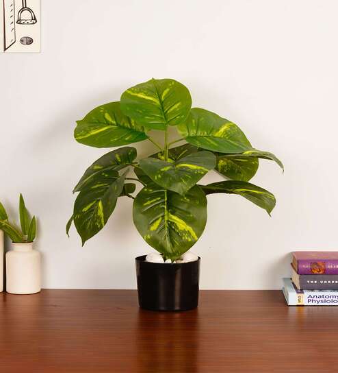 Artificial Pothos Plant 55Cm