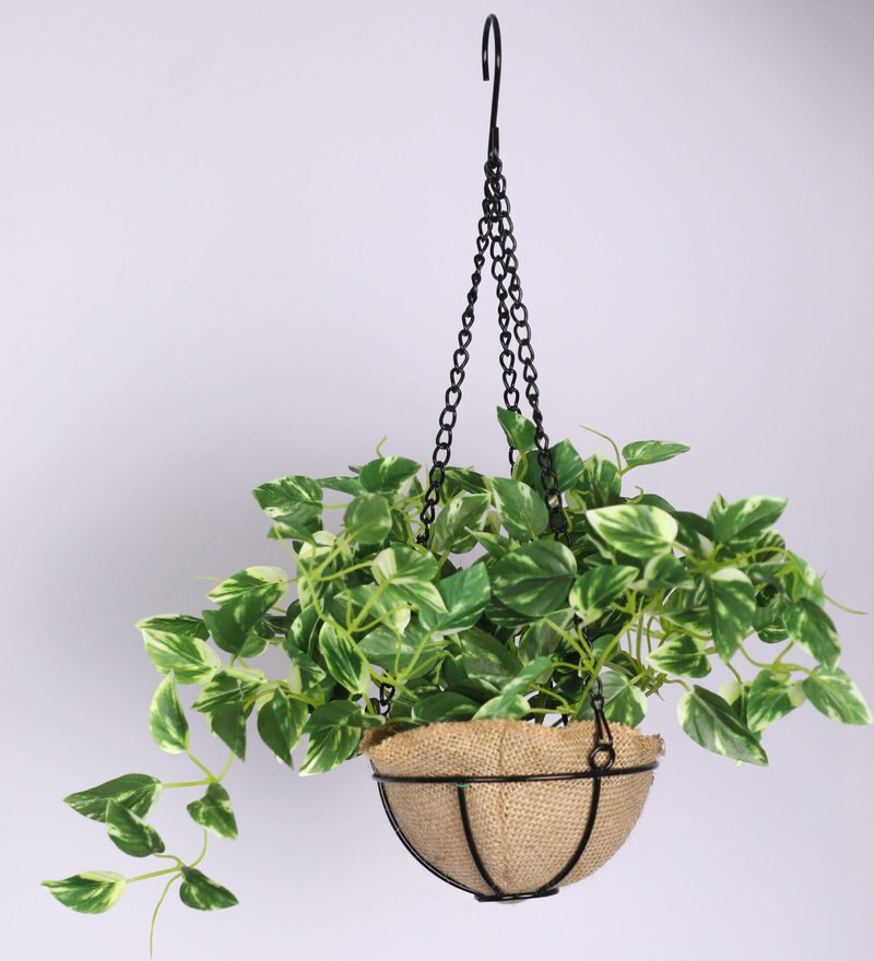 Buy Green Artificial Hanging Pothos Creeper with Pot by Pollination