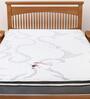 Mod Dual Comfort 8 inch Pocketed Spring Single Mattress in White Colour
