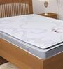 Mod Dual Comfort 8 inch Pocketed Spring Single Mattress in White Colour