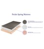 Pocket Spring Foam + HR Foam 8 Inches Queen Size Mattress