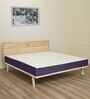 Pocket Spring Foam + HR Foam 8 Inches Queen Size Mattress