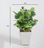 Fabric Green Coin Leafed Bonsai With Ceramic Pot Artificial Plants