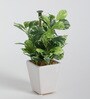 Fabric Green Coin Leafed Bonsai With Ceramic Pot Artificial Plants