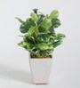 Fabric Green Coin Leafed Bonsai With Ceramic Pot Artificial Plants