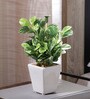 Fabric Green Coin Leafed Bonsai With Ceramic Pot Artificial Plants