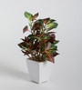 Fabric Green Coleus Bonsai With Ceramic Pot Artificial Plants