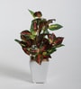 Fabric Green Coleus Bonsai With Ceramic Pot Artificial Plants