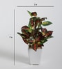 Fabric Green Coleus Bonsai With Ceramic Pot Artificial Plants