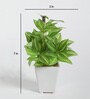 Fabric Hide Green Bonsai With Pot Artificial Plants
