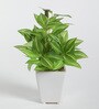 Fabric Hide Green Bonsai With Pot Artificial Plants