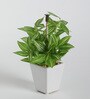 Fabric Hide Green Bonsai With Pot Artificial Plants