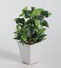 Green Fabric Artificial Bonsai Plant With Ceramic Pot