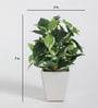 Green Fabric Artificial Bonsai Plant With Ceramic Pot