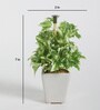 Fabric White Green Bonsai With Pot Artificial Plants