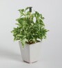 Fabric White Green Bonsai With Pot Artificial Plants