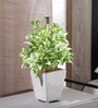 Fabric White Green Bonsai With Pot Artificial Plants
