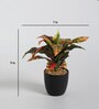Fabric Red Dracaena Bonsai With Ceramic Pot Artificial Plants
