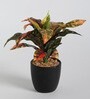 Fabric Red Dracaena Bonsai With Ceramic Pot Artificial Plants