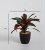 Fabric Red Green Dracaena Bonsai With Ceramic Pot Artificial Plants