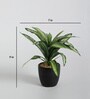 Fabric White Green Dracaena Bonsai With Ceramic Pot Artificial Plants