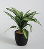 Fabric White Green Dracaena Bonsai With Ceramic Pot Artificial Plants