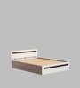 Pollo King Size Bed in Wenge & White Finish with Box Storage