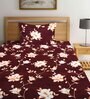 Brown Floral 300 TC Poly Cotton 1 Single Bedhseet with 1 Pillow Cover