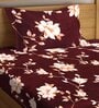 Brown Floral 300 TC Poly Cotton 1 Single Bedhseet with 1 Pillow Cover
