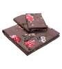 Polycotton 190 TC Single Bed Sheet with 1 Pillow Cover