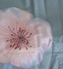 Cotton Floral 400 TC Pastel Super King Bedsheet And 2 Pillow Cover Elegant Series