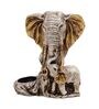 Polyresin & Wooden Elephant  Showpiece