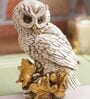 Polyresin Owl Figurine