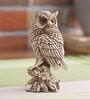 Polyresin Owl Sitting On Tree Figurine