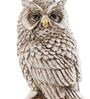 Polyresin Owl Sitting On Tree Figurine