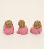 Polyresin Pink Stella Monk set of 3