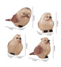 Polyresin Premium Fengshui Bird Set Of Four Gold Figurine