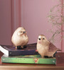 Polyresin Premium Bird Set Of Two Golden Figurine