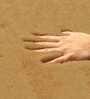 Polyster 24 x 16 Inches Mat in Brown Color