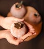 Pomegranate Glory Vase Set Of 3 Pomegranate Glory Vase Set Of 3
