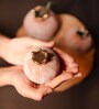 Pomegranate Glory Vase Set Of 3