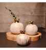 Pomegranate Jewel Vase Set of 3