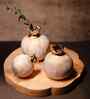 Pomegranate Jewel Vase Set of 3