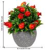 Pommegrenate Multicolour Plastic & Polyester Artificial Plant With Pot