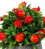 Pommegrenate Multicolour Plastic & Polyester Artificial Plant With Pot
