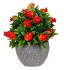 Pommegrenate Multicolour Plastic & Polyester Artificial Plant With Pot