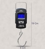 Portable Electronic Scale