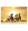 Poster Paper 17 x 11 Inch Running Horses Framed Poster