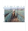 Inspecting Agave Plantation Panels Frame ( Set Of 3)